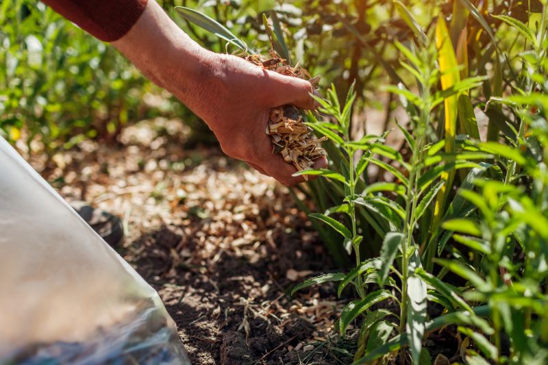 Quality Mulch Suppliers